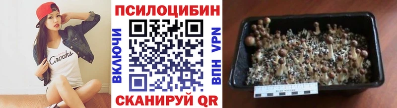 Псилоцибиновые грибы Magic Shrooms  Шимановск 
